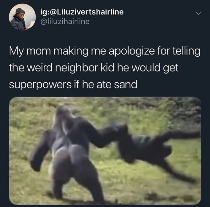 cursed ape reddit - ig My mom making me apologize for telling the weird neighbor kid he would get superpowers if he ate sand