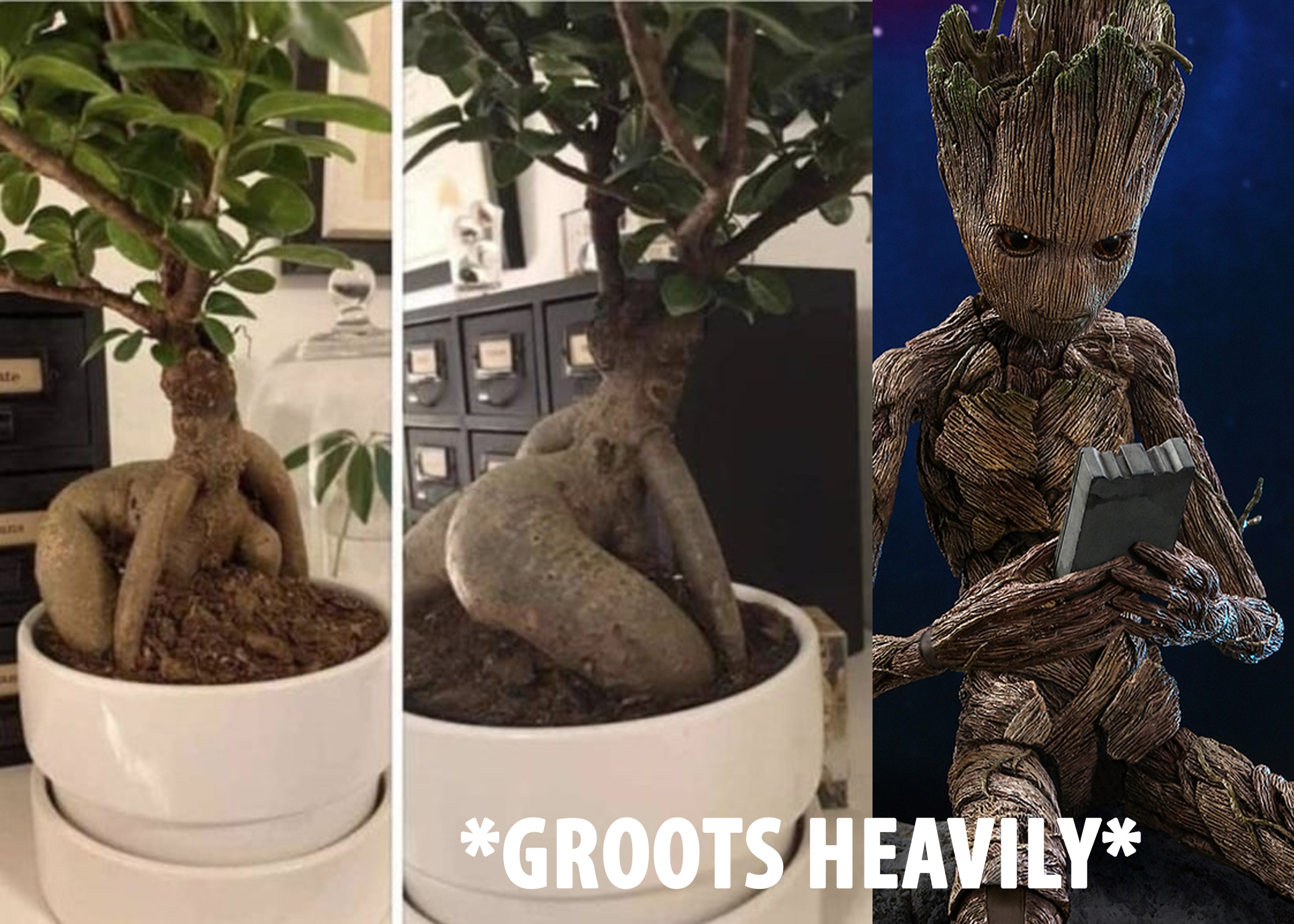 What Groot does in his free time.