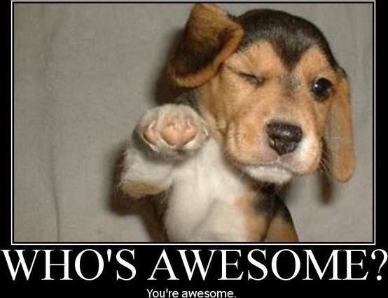 Your awesome