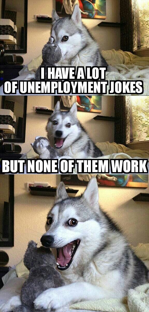 dog telling joke meme - I Have A Lot Ofunemploymentjokes But None Of Them Work