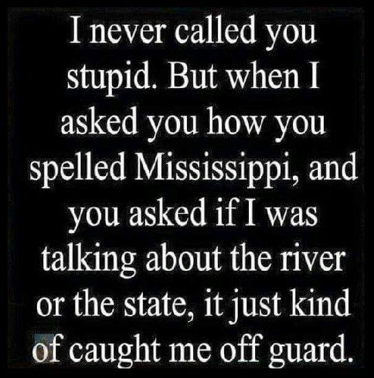 I never called you stupid. But when I asked you how you spelled Mississippi, and you asked if I was talking about the river or the state, it just kind of caught me off guard.