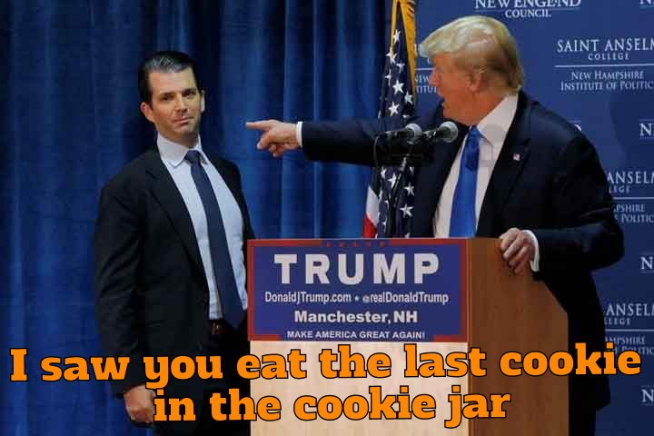 Lots of cookies