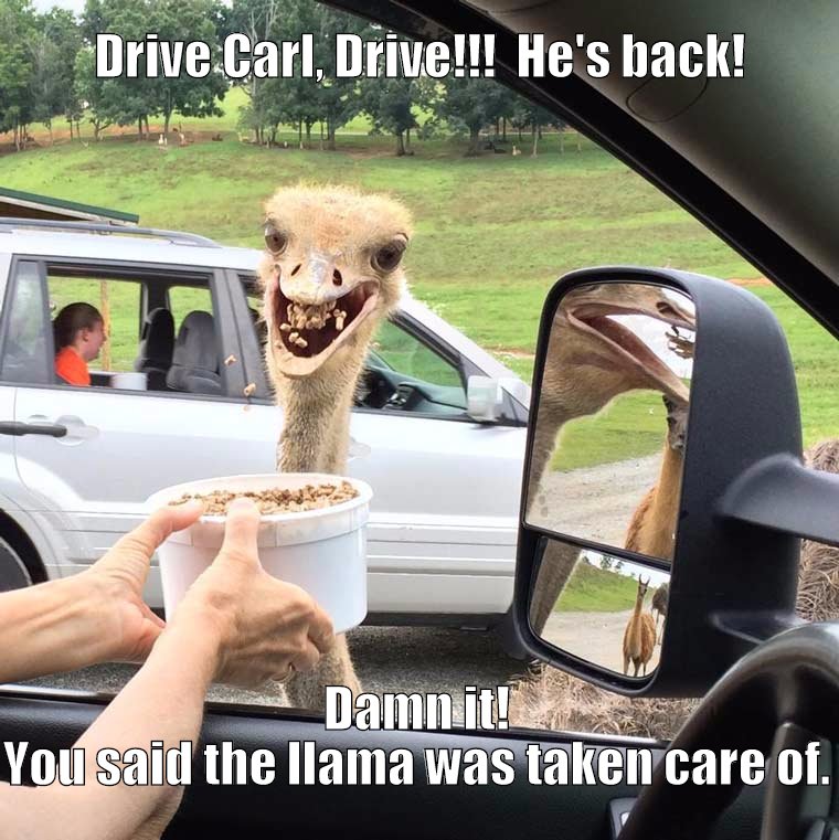 Last know footage of Carl.  He was peddling his goods at the drive through safari.