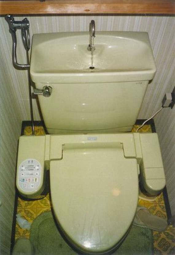 toilet seat