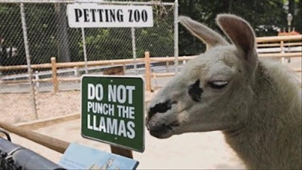 27 Funny Signs