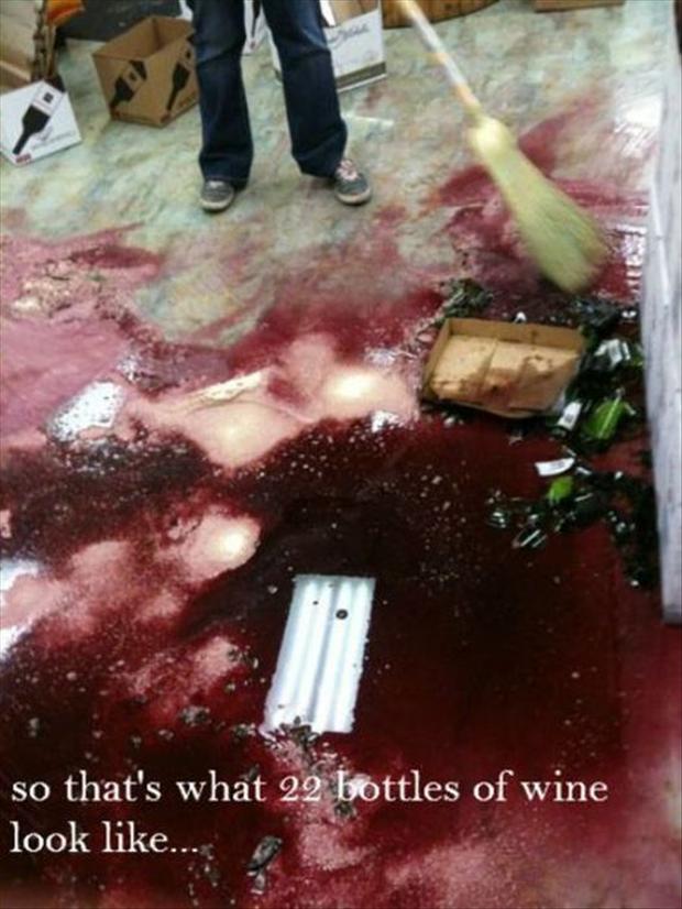 fail flesh - so that's what 22 bottles of wine look ...