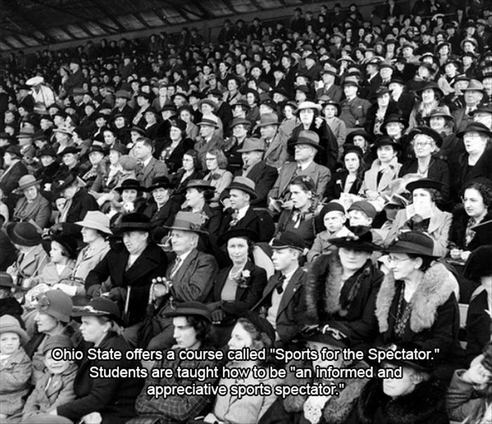 crowd - Ohio State offers a course called "Sports for the Spectator." Students are taught how to be "an informed and appreciative sports spectator."