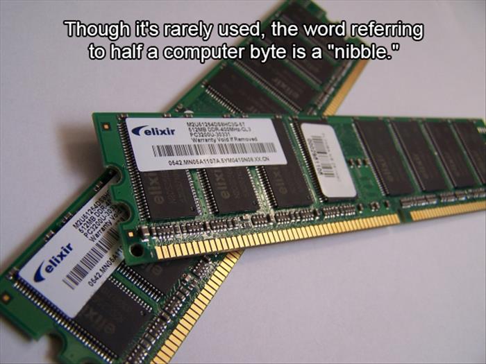 random access memory module - Though it's rarely used, the word referring to half a computer byte is a "nibble." Usadas elixir Www 2010 Chuo Wat Var 0642 Mndlamilya Noon PC3200U303 M2U5126405 Ch.Ch Warranty Vo 0542 Mnoga Liittiin