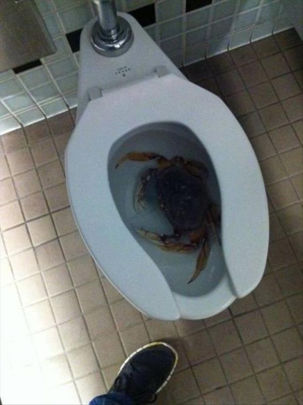 26 Pics Of A Lot Of NOPE