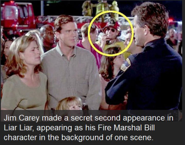 Celebrity Cameos You Might Have Missed