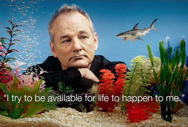 Words Of Wisdom From Bill Murray