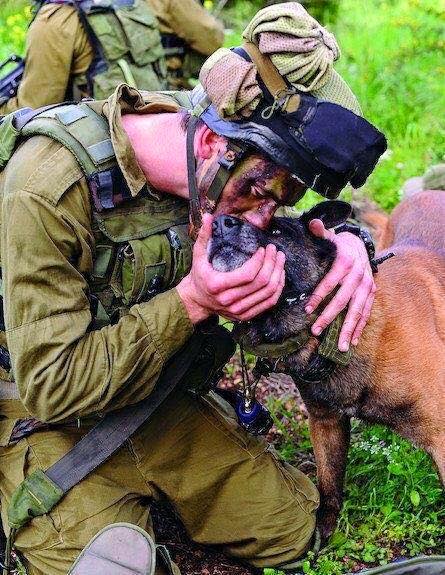 A Soldier's Best Friend