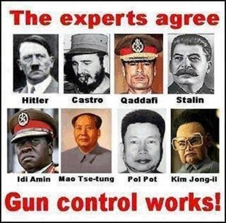 Gun control works