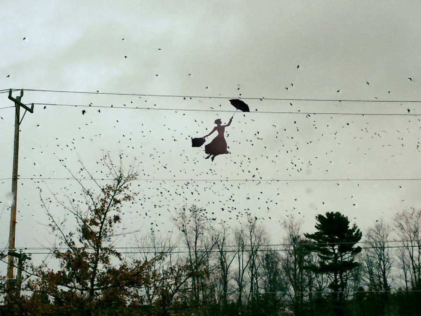 Mary Poppins in a murder of crows