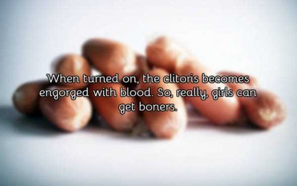 21 Vagina Facts That All Grown Ups Should Know About
