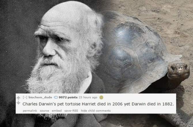 charles darwin - biochem_dude 9072 points 23 hours ago Charles Darwin's pet tortoise Harriet died in 2006 yet Darwin died in 1882. permalink source embed save Res hide child Roos