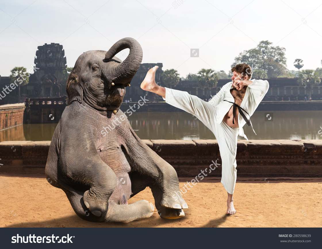 Man fighting an elephant in Kung Fu