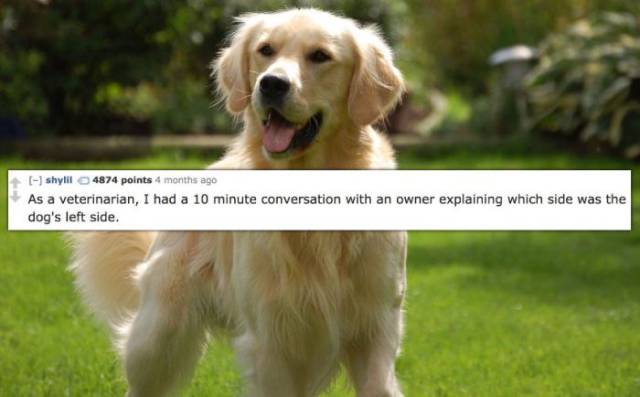 Incredibly Dumb Things That Doctors Have Had To Explain To People