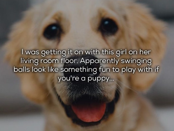 5 ways to know your dog loves you - I was getting it on with this girl on her living room floor. Apparently swinging balls look something fun to play with if you're a puppy...