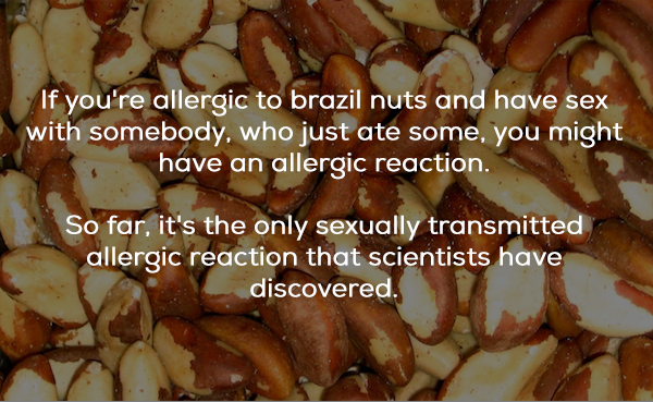 brazil nuts - If you're allergic to brazil nuts and have sex with somebody, who just ate some, you might have an allergic reaction. So far, it's the only sexually transmitted allergic reaction that scientists have discovered.