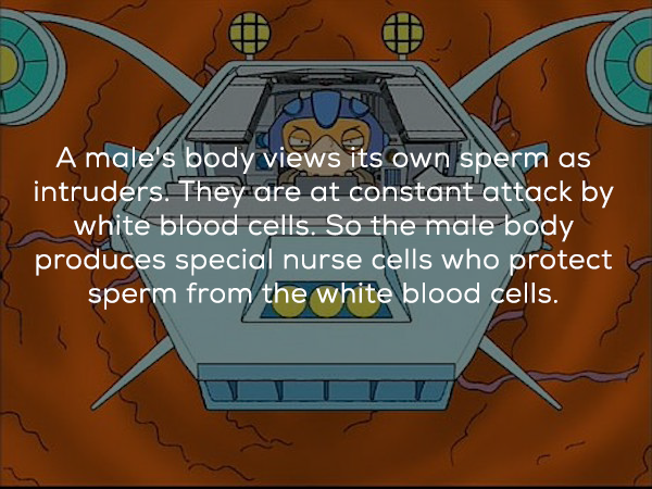 games - An A male's body views its own sperm as intruders. They are at constant attack by white blood cells. So the male body produces special nurse cells who protect sperm from the white blood cells.