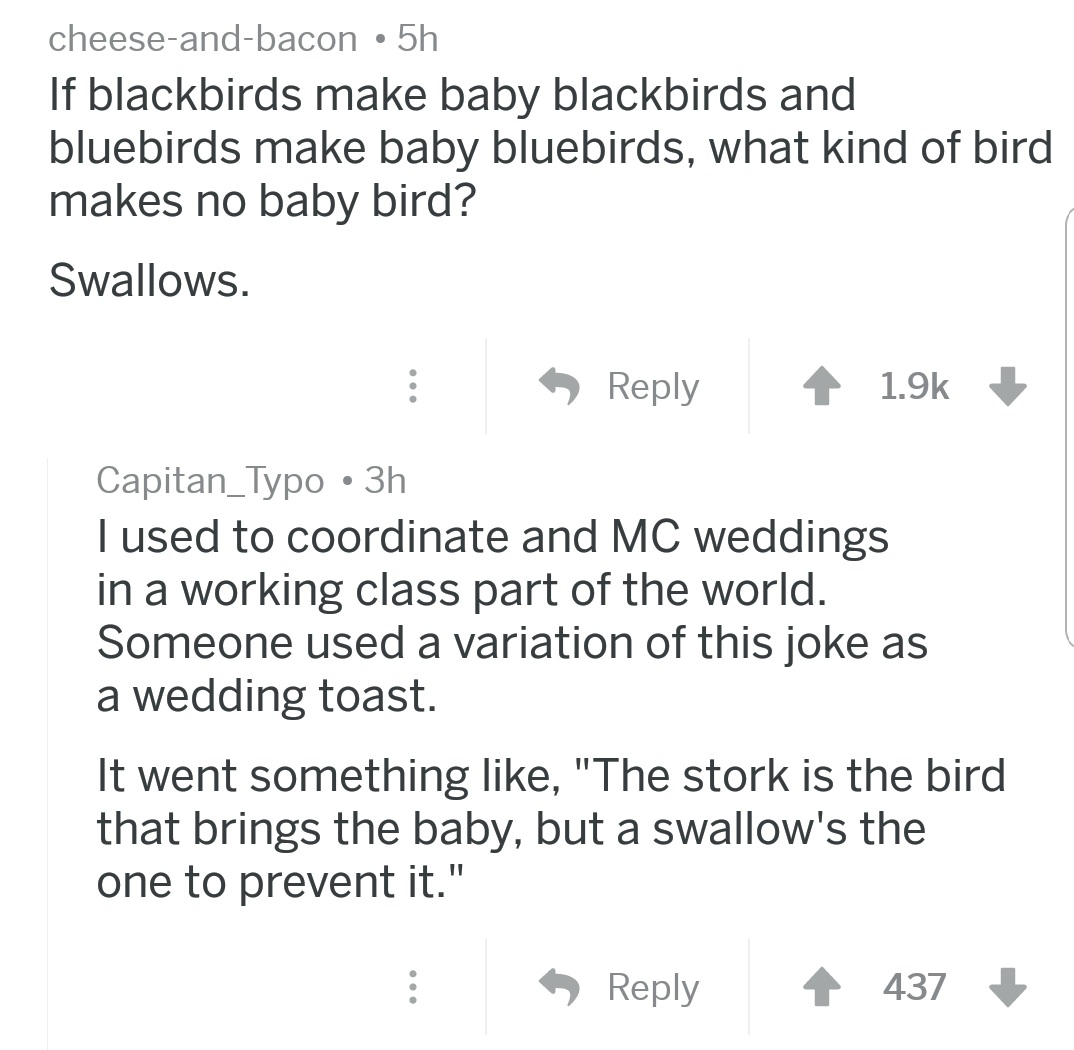 document - cheeseandbacon 5h If blackbirds make baby blackbirds and bluebirds make baby bluebirds, what kind of bird makes no baby bird? Swallows. Capitan_Typo 3h Tused to coordinate and Mc weddings in a working class part of the world. Someone used a var