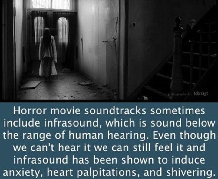 horror facts - Staphy by tobisagt Horror movie soundtracks sometimes include infrasound, which is sound below the range of human hearing. Even though we can't hear it we can still feel it and infrasound has been shown to induce anxiety, heart palpitations