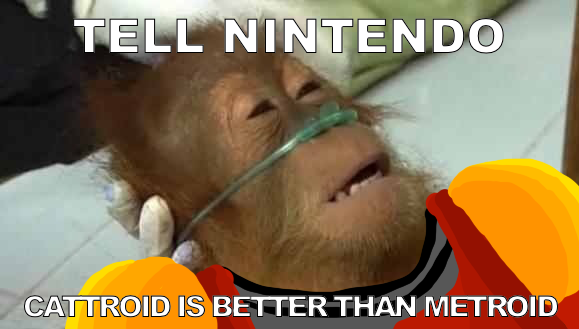 Nintendo never learns...