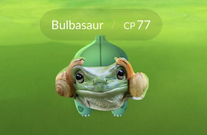 ranidae - Bulbasaur Cp 77