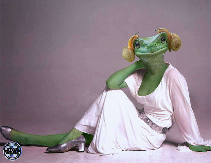 princess leia frog