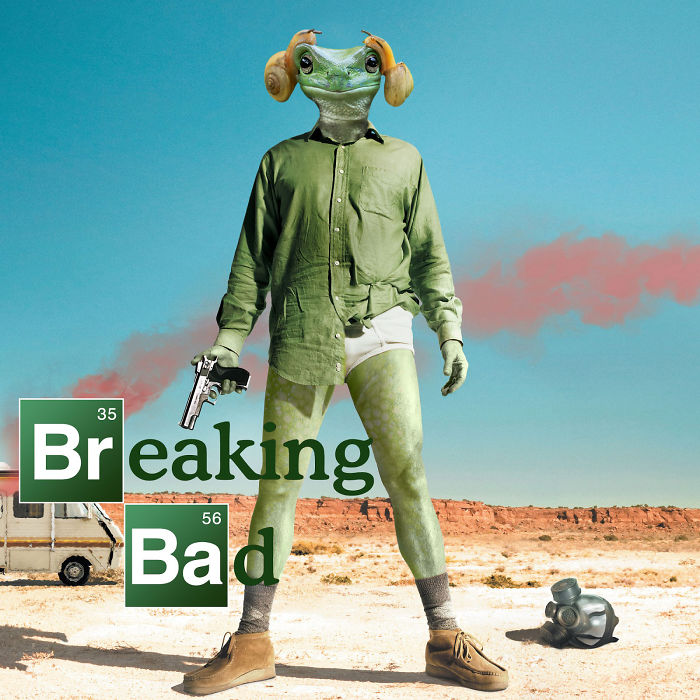 breaking bad season 1 - 35 Breaking Bad 56