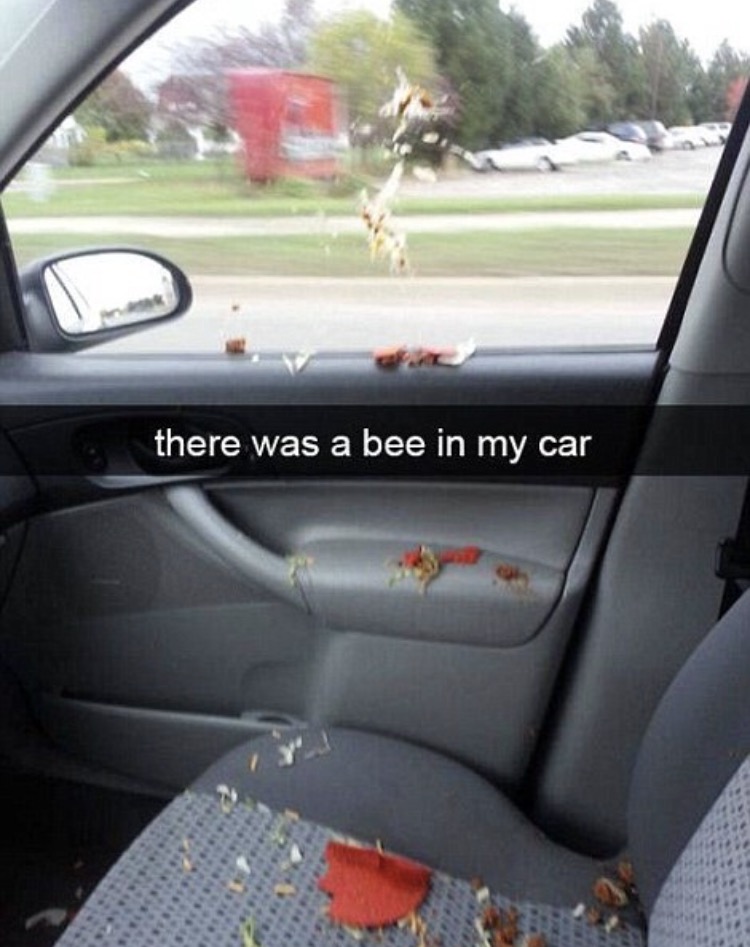 car snapchats - there was a bee in my car