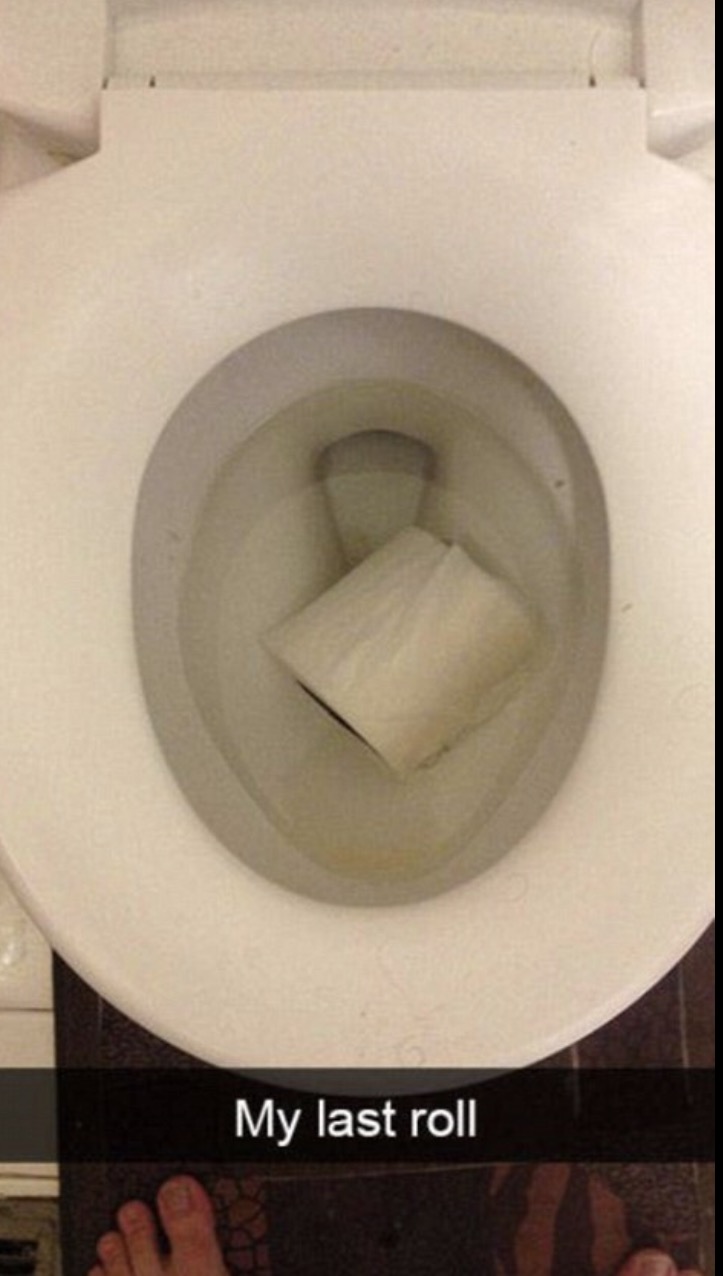 toilet seat - My last roll
