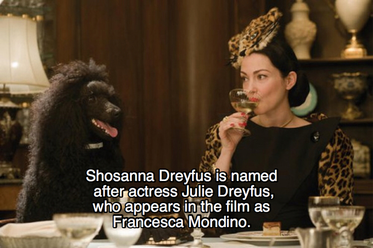 julie dreyfus inglourious basterds - Shosanna Dreyfus is named after actress Julie Dreyfus, who appears in the film as Francesca Mondino.