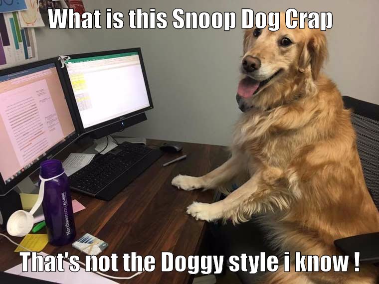 When your dog is searching the web when you walk in ...