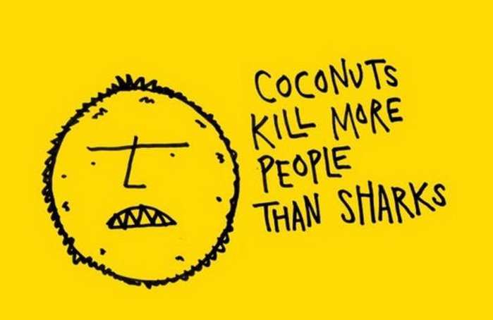 falling coconuts kill more than sharks - Coconuts Kill More People Than Sharks