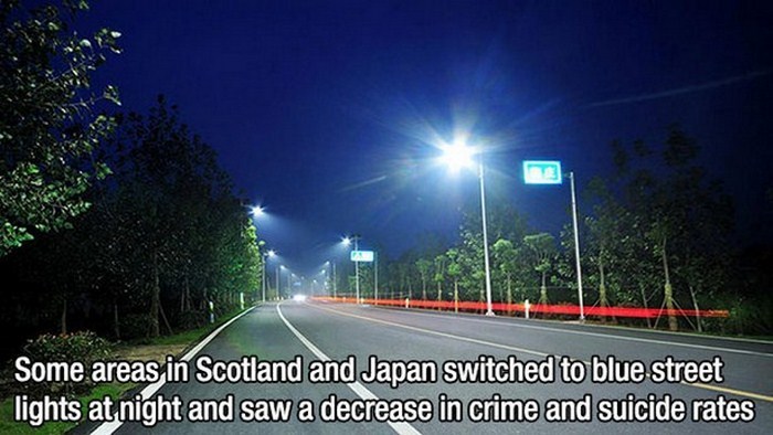 facts about street lights - Some areas in Scotland and Japan switched to blue street lights at night and saw a decrease in crime and suicide rates