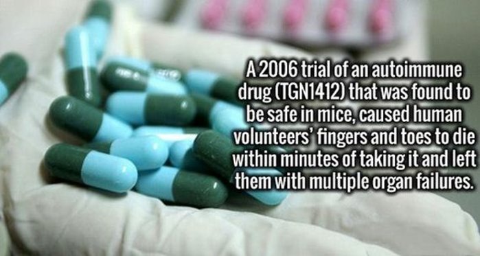 A 2006 trial of an autoimmune drug TGN1412 that was found to be safe in mice, caused human volunteers' fingers and toes to die within minutes of taking it and left them with multiple organ failures.