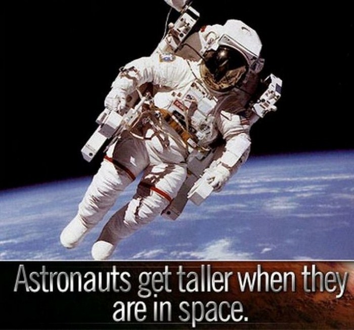real space suit - Astronauts get taller when they are in space.