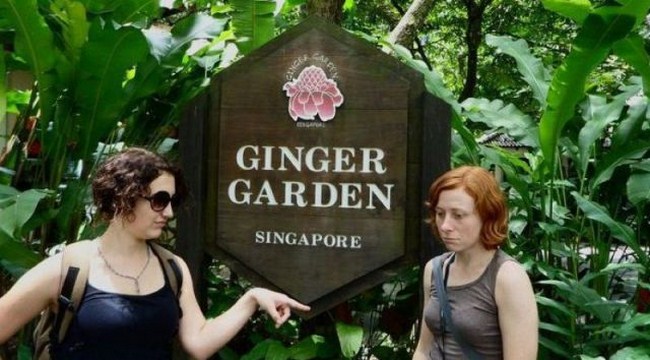 Laughter - Ginger Garden Singapore
