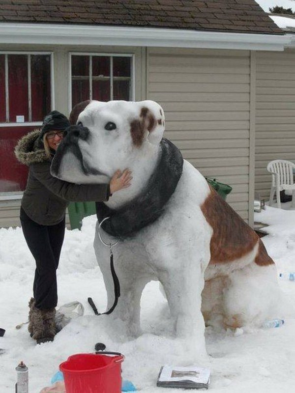 bulldog snow sculpture