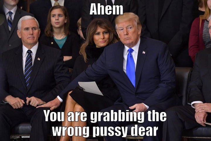 Trump caught grabbing the wrong pussy.