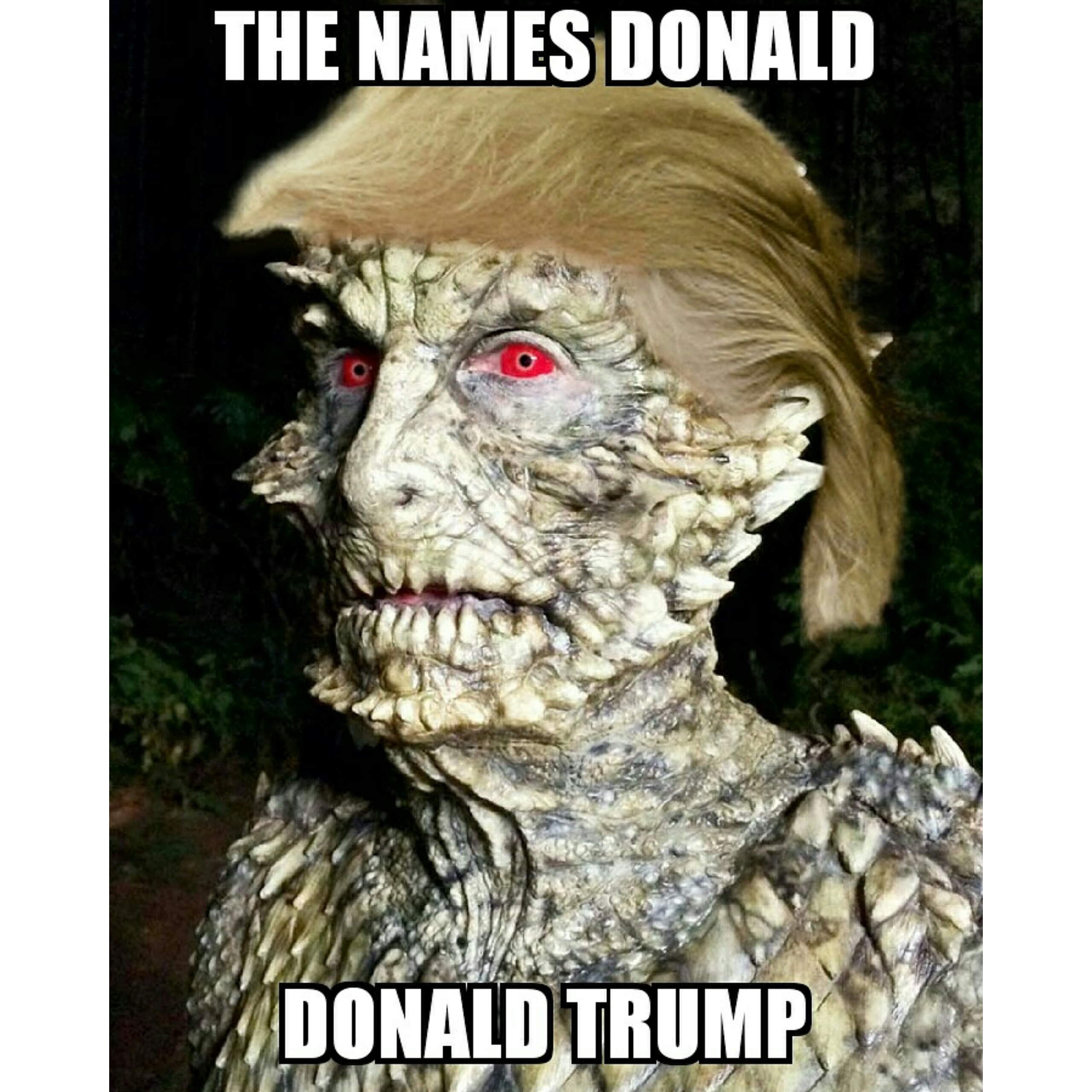 Stop Lizard Trump