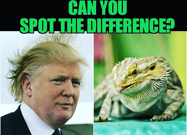 Trump is an Alien Lizard