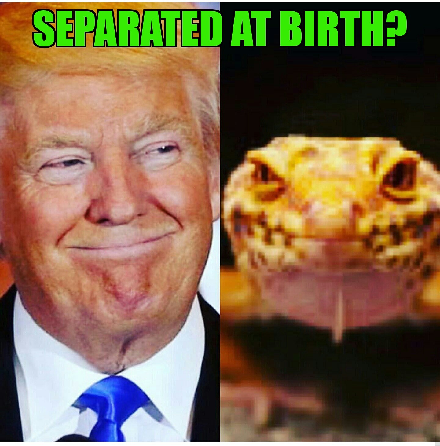 Trump is an Alien Lizard