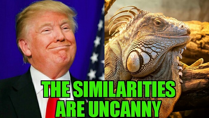 Trump is an Alien Lizard