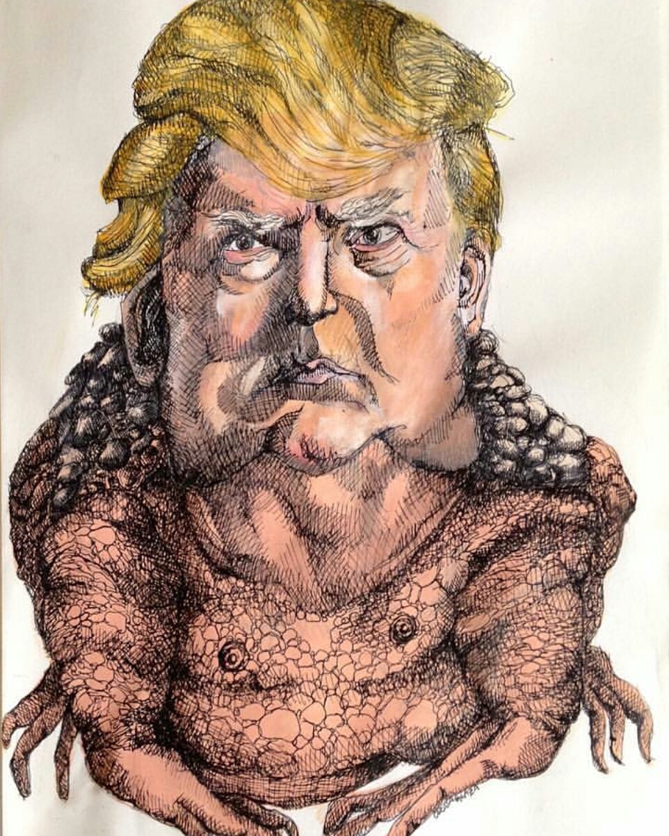 Donald toad