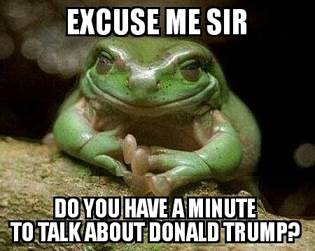Donald toad