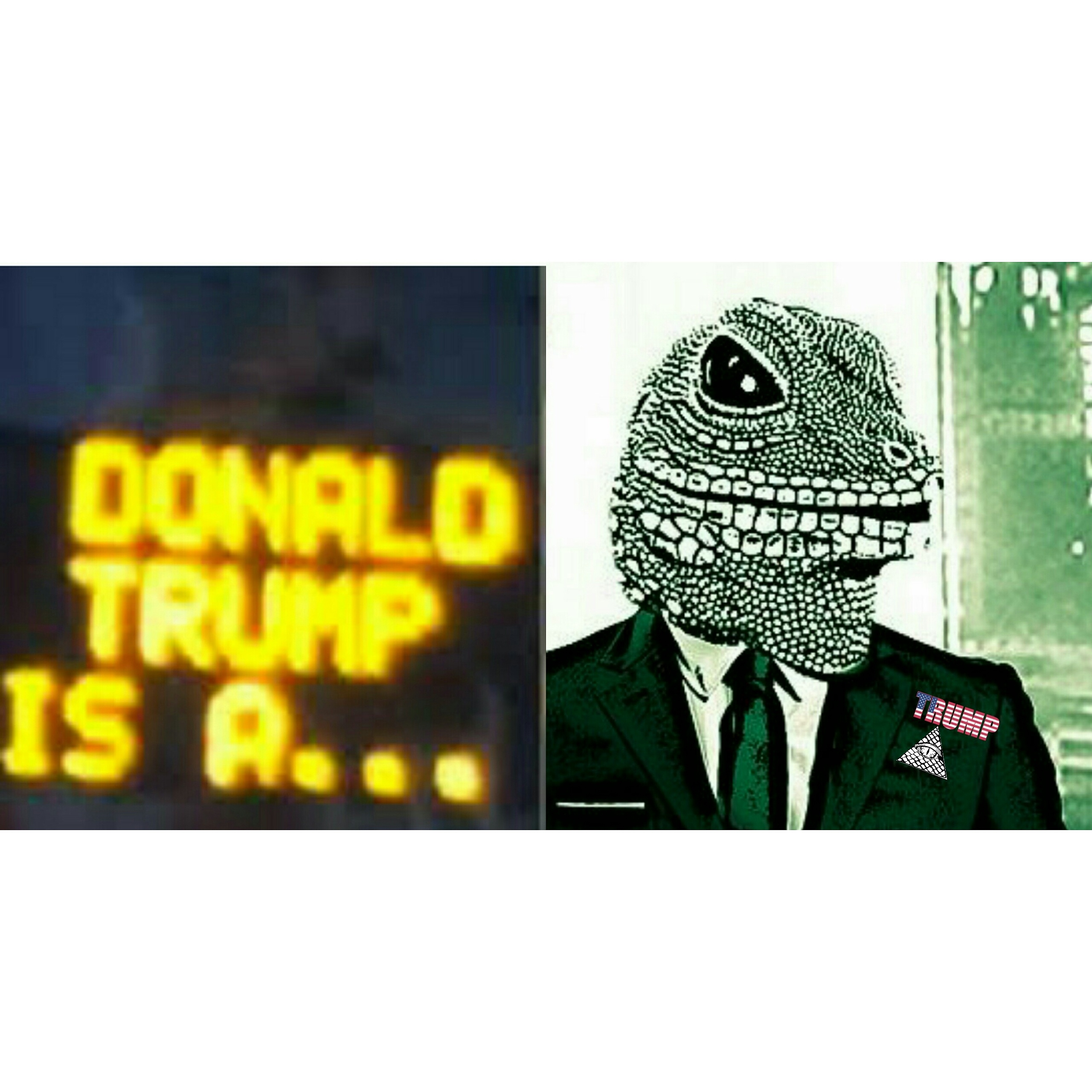 Lizard Trump is an alien conqueror