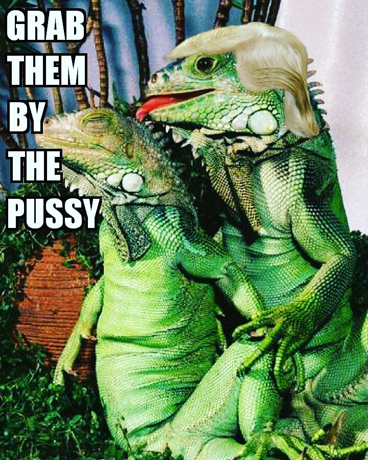 Lizard Trump Picture Dump